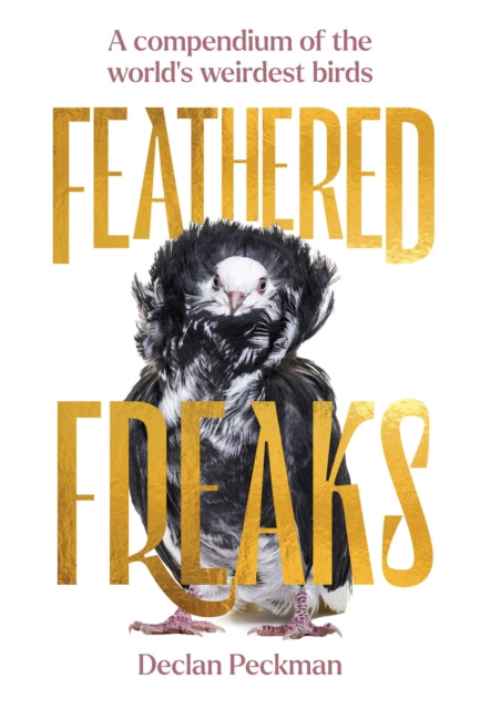 Book cover of: Feathered Freaks. By: Declan Peckman