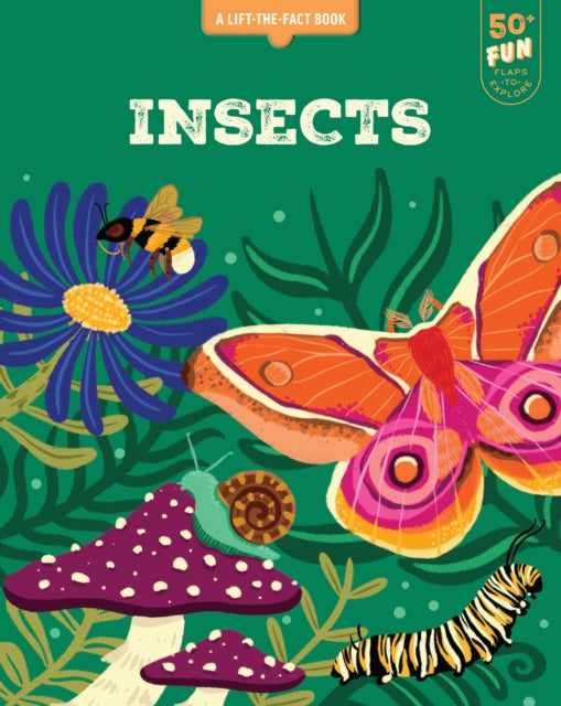 Book cover of: Insects