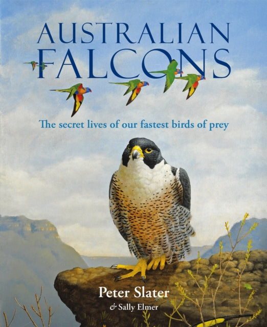 Book cover of: Australian Falcons. By: Peter Slater