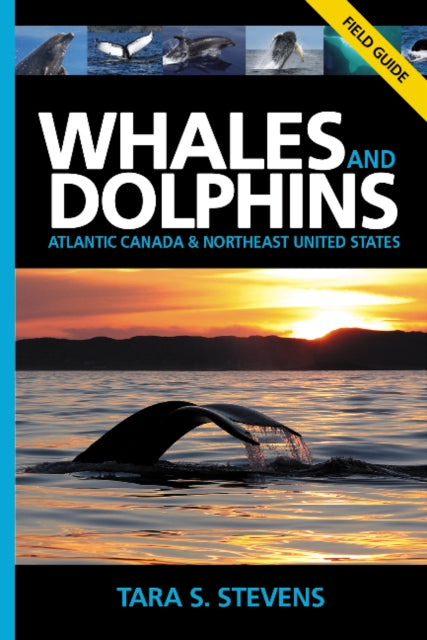 Book cover of: Whales & Dolphins of Atlantic Canada & Northeast United States. By: Tara Stevens