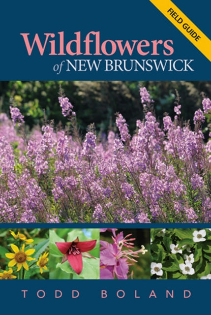 Book cover of: Wildflowers of New Brunswick. By: Todd Boland