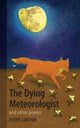Book cover of: Dying Meteorologist. By: Steve Luxton