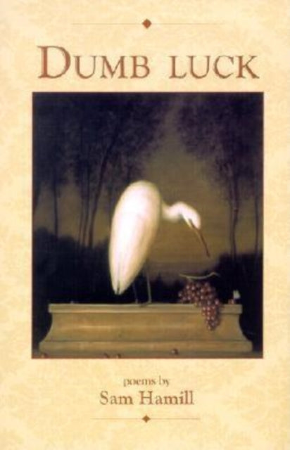 Book cover of: Dumb Luck