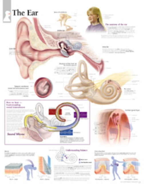 Book cover of: Ear Paper Poster. By: Scientific Publishing