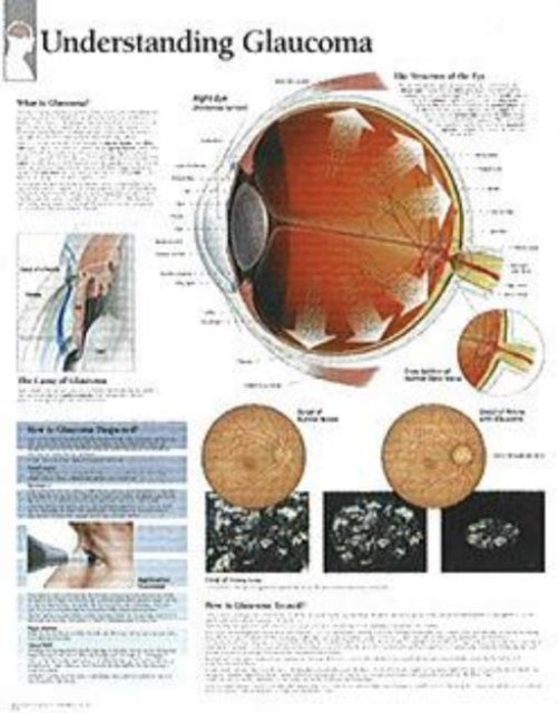 Book cover of: Understanding Menopause Paper Poster. By: Scientific Publishing