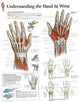 Book cover of: Understanding the Hand & Wrist Paper Poster