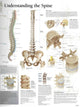 Book cover of: Understanding the Spine Laminated Poster
