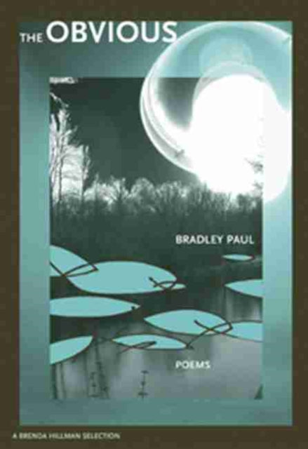 Book cover of: Obvious