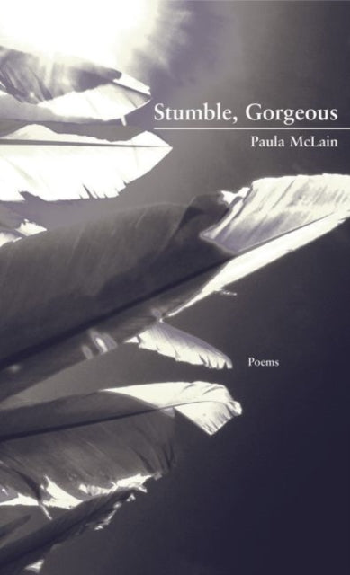 Book cover of: Stumble, Gorgeous. By: Paula McLain