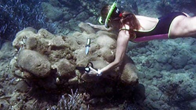 Book cover of: Minoan Shipwreck at Pseira, Crete. By: Elpida Hadjidaki-Marder