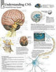 Book cover of: Understanding CNS Paper Poster