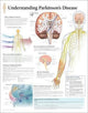 Book cover of: Understanding Parkinson's Paper Poster. By: Scientific Publishing