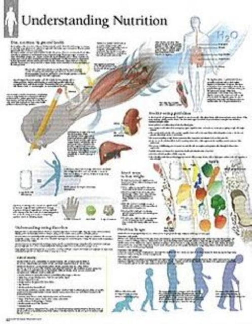 Book cover of: Understanding Nutrition Laminated Poster