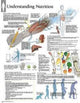 Book cover of: Understanding Nutrition Paper Poster