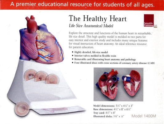 Book cover of: Healthy Heart