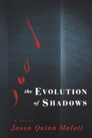Evolution of Shadows