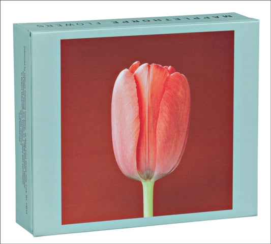 Book cover of: Mapplethorpe Flowers QuickNotes. By: The Robert Mapplethorpe Foundation