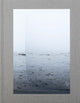 Book cover of: Barry Stone: Daily, In A Nimble Sea. By: Barry Stone