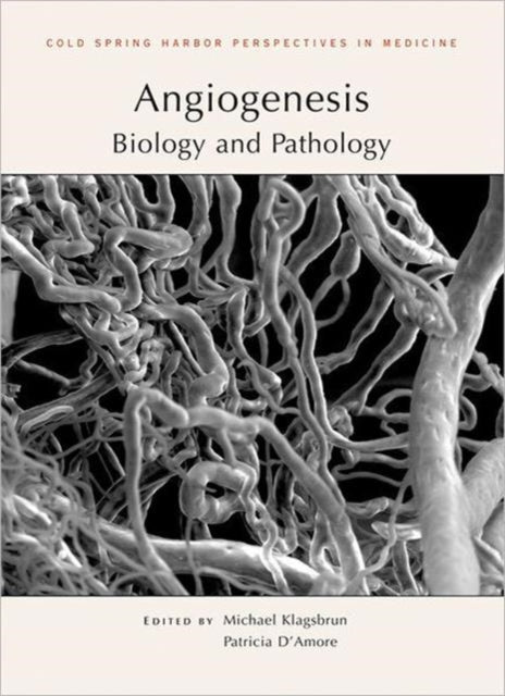 Book cover of: Angiogenesis. By: Michael Klagsbrun