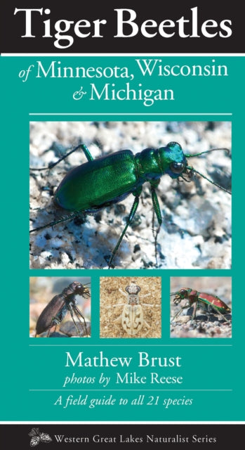 Book cover of: TigerBeetlesof Minnesota, Wisconsin & Michigan. By: Mathew Brust