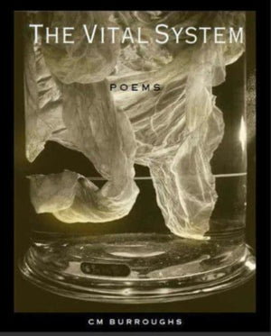 VITAL SYSTEM
