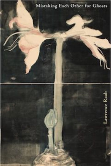 Book cover of: Mistaking Each Other for Ghosts. By: Lawrence Raab