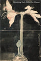 Book cover of: Mistaking Each Other for Ghosts. By: Lawrence Raab