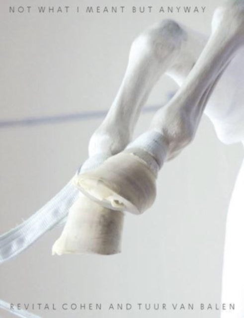 Book cover of: Not What I Meant But Anyway. By: Revital Cohen