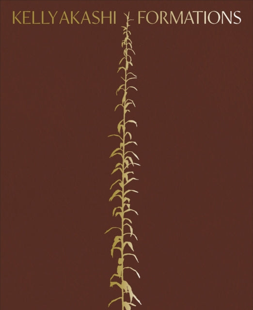 Book cover of: Kelly Akashi: Formations. By: Kelly Akashi