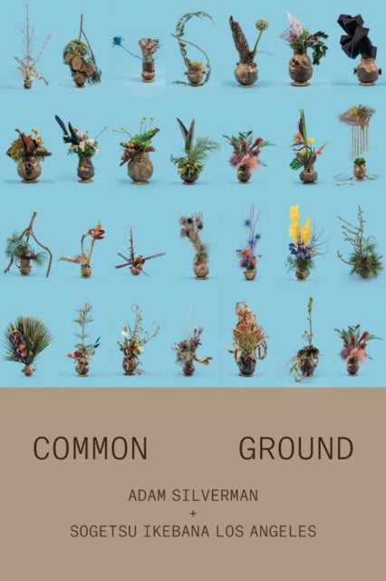 Book cover of: Adam Silverman: Common Ground. By: Adam Silverman