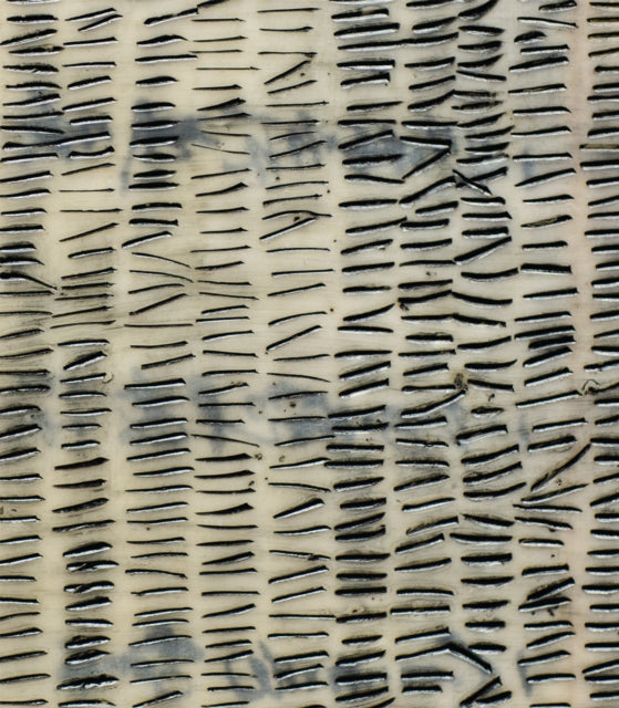 Book cover of: Catherine Eaton Skinner: 108. By: Elizabeth Brown