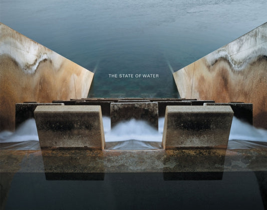 Book cover of: Brad Temkin: The State of Water