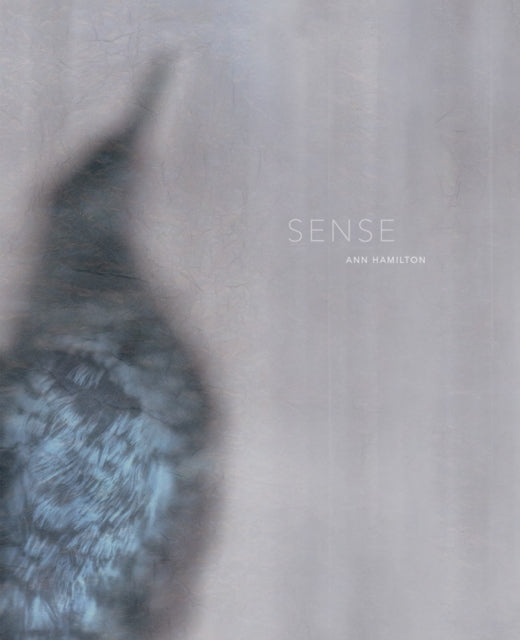 Book cover of: Ann Hamilton: Sense. By: Ann Hamilton