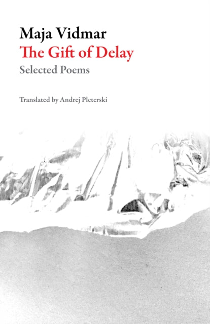Book cover of: Gift Of Delay. By: Maja Vidmar