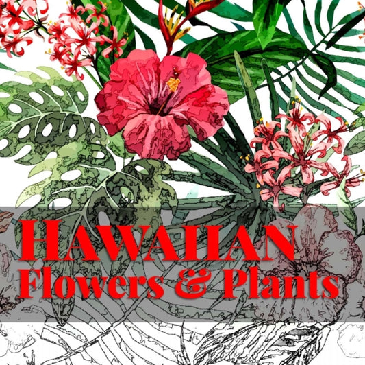 Book cover of: Hawaiian Flowers & Plants