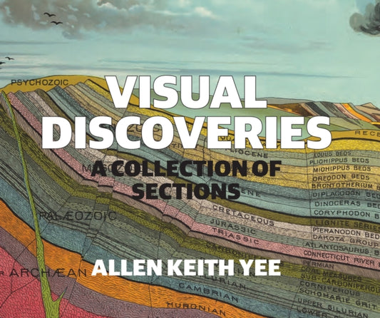 Book cover of: Visual Discoveries. By: Allen Keith Yee