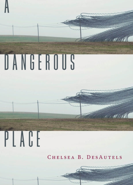 Book cover of: Dangerous Place. By: Chelsea B. DesAutels