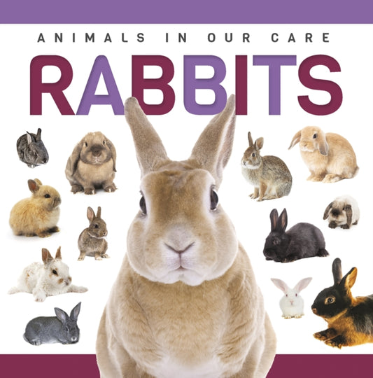 Book cover of: Rabbits. By: Alex Hall