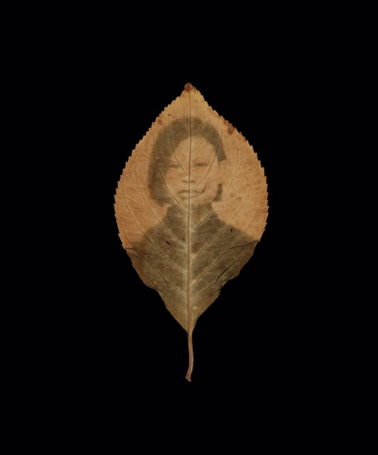 Book cover of: Binh Danh: The Enigma of Belonging. By: Binh Danh