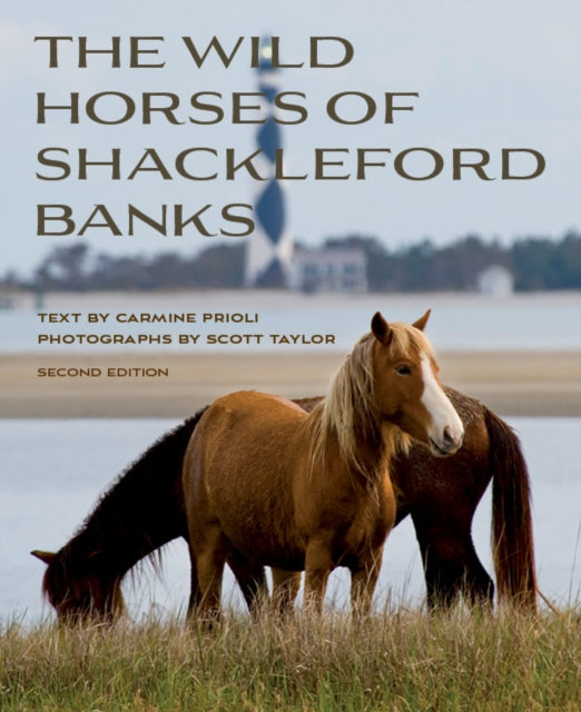 Book cover of: Wild Horses of Shackleford Banks. By: Carmine Prioli