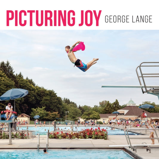 Book cover of: Picturing Joy. By: George Lange