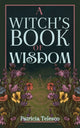Book cover of: Witch's Book of Wisdom