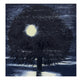 Book cover of: Ann Craven: Night. By: Ann Craven