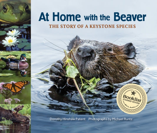 Book cover of: At Home with the Beaver. By: Dorothy Hinshaw Patent