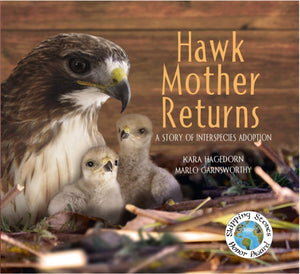Hawk Mother Returns