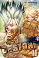 Book cover of: Dr. STONE, Vol. 11. By: Riichiro Inagaki