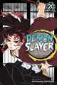 Demon Slayer: Kimetsu no Yaiba, Vol. 20 9781974720972 Koyoharu Gotōge