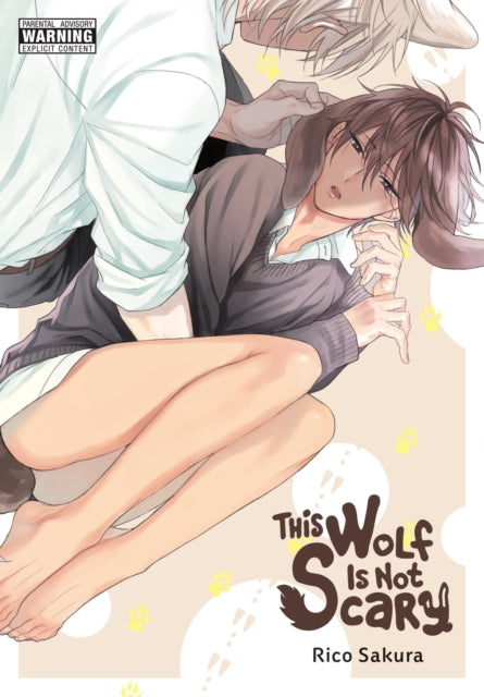This Wolf Is Not Scary 9781975389284 Rico Sakura