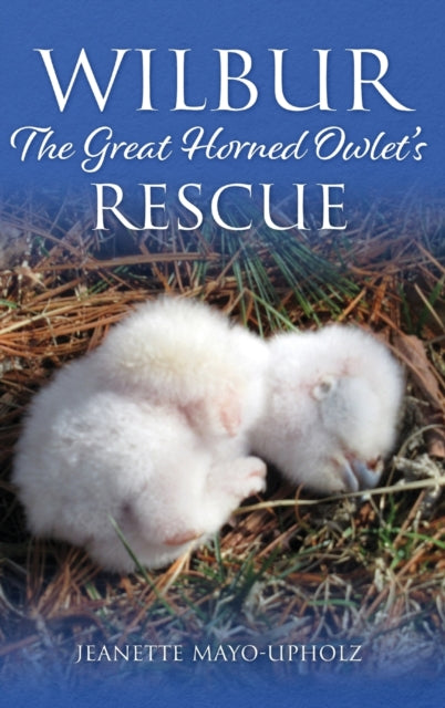 Book cover of: Wilbur. By: Jeanette Mayo-Upholz