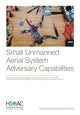Book cover of: Small Unmanned Aerial System Adversary Capabilities. By: Bradley Wilson